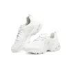DLites 1.0 „White Silver”